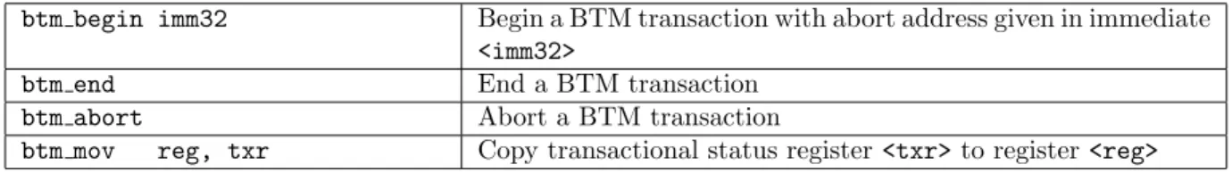 Table 2.1: The BTM ISA Extension