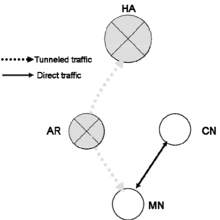 Figure 5: MIPv6: MN communicates directly with MIPv6 capable CN 