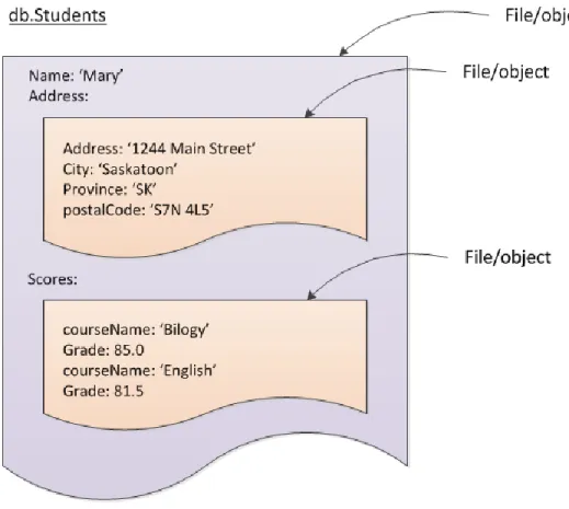 Figure 3.4:  Structural representation of a Document DS for MongoDB. 