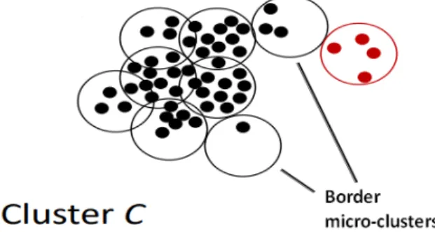 Figure 1. A graphical representation of the “border microclusters” concept [36]