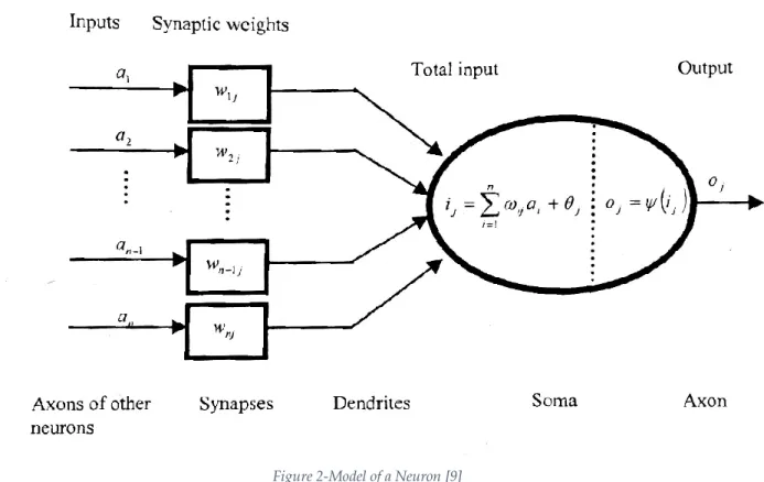 Figure 2-Model of a Neuron [9] 