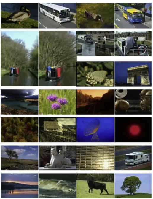 Figure 4 Sample images taken from the experimental database.