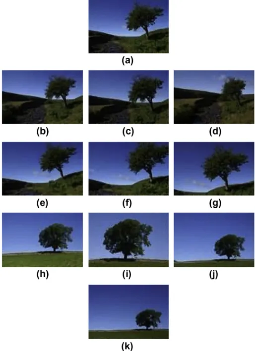 Figure 7 (a) Query image; and (b–k) retrieval results obtained with the proposed CBIR system.