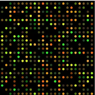 Figure 2.2: DNA microarray 