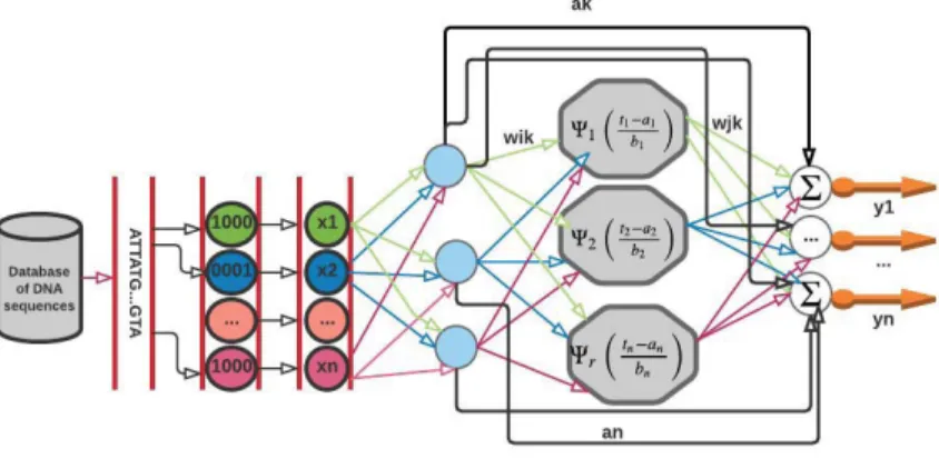 Figure 2 the three layer wavelet network 