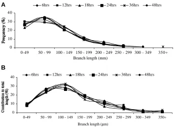 Fig. 7. Branch length distributions and contribution to total length of the ureteric tree
