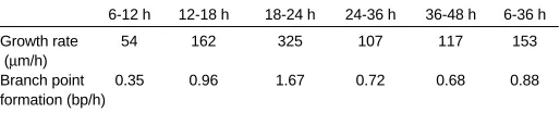 TABLE 3