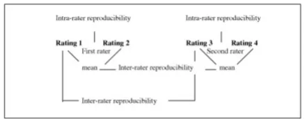Figure 2 shows an overview of intra- and interrater com-parisions