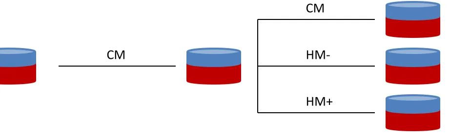 Figure 1   Day 