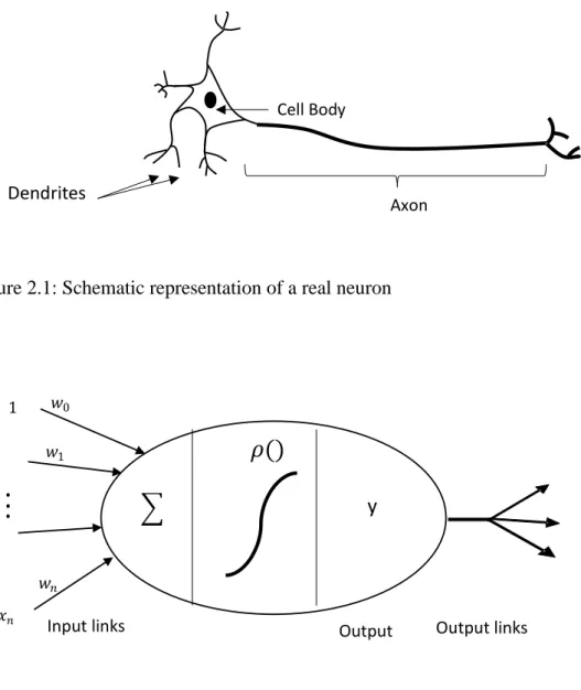 Figure 2.2: Representation of an artificial neuron-single  perceptron, w 0  indicates the  threshhold value of the perceptron 
