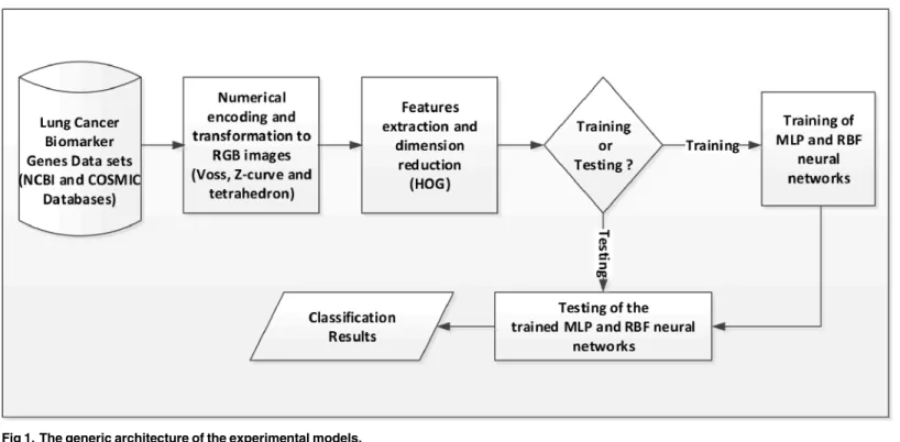 Fig 1. The generic architecture of the experimental models.