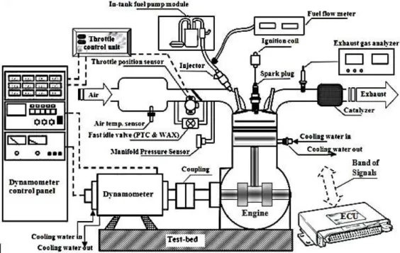 Figure 1. Schematic of the experimental set-up. 