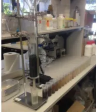 Figure 3:  Setup for the column leaching tests (note the improving clarity of the eluted samples) 