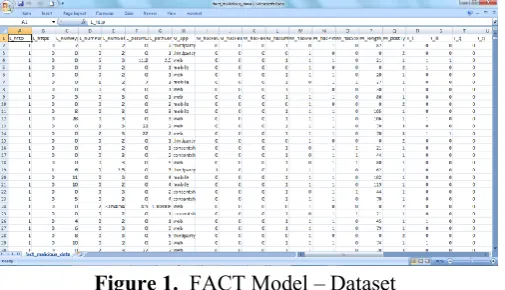 Figure 1.  FACT Model – Dataset 