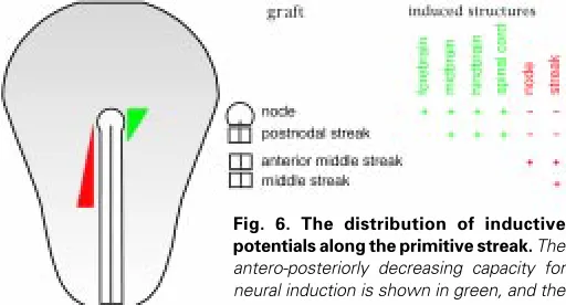 Fig. 6. The distribution of inductive