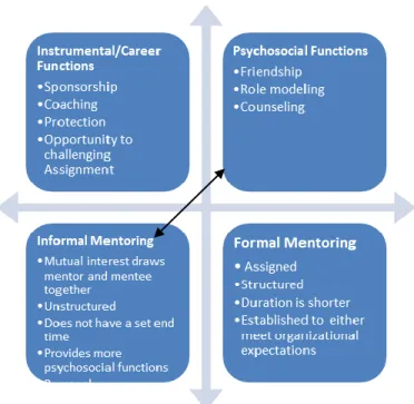 Figure 3. Types of mentoring relationships with functions of mentoring 
