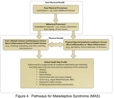 Figure 4.  Pathways for Maladaptive Syndrome (MAS) 