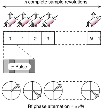 Figure 2Construction of CNνn sequences
