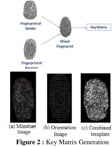 Figure 1 : Minutiae Features [2] 