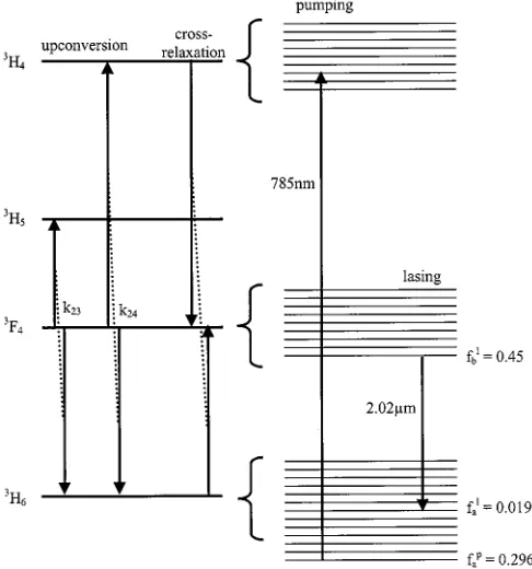 Fig. 5.Schematic diagram of the Tm:YAG energy levels involved in the 2-�mlaser operation