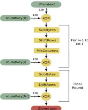 Figure 2. Elliptic Curve Representations  