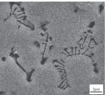 Fig. 3. SEM micrograph showing the typical microstructure of eutectic Al–Mg 2 Si phase in the diecast Al–5Mg–2Si alloys.