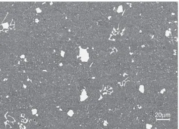 Fig. 5. Backscattered SEM micrograph showing the morphology of Fe-rich inter- inter-metallics in the diecast Al–5Mg–2Si alloy with 0.54Mn and 0.84Fe.