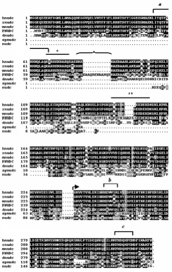 Fig. 2. Amino acid sequence analysis ofPNUDC. PNUDC with NUDC proteins from other species.The microsequencing are indicated as a - c