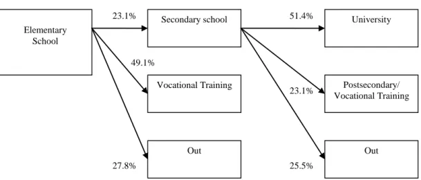 Figure 1. Summary of Educational Transitions 