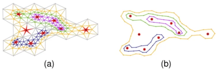 Fig. 5. (a) Applying Tutte’s algorithm to Figure 4.d enables us to transform the initial triangulated graph that was obtained by our method