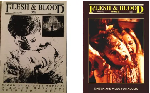 Figure 5.10: Issues one and three of Flesh and Blood