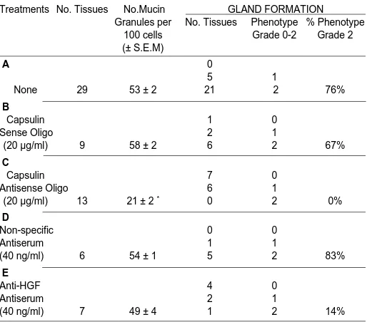 Fig. 3. Expression of GAPDH, capsulin and HGF mRNA in culturedstomach tissue in different treatment groups as determined by RT-specific antiserum, 40 ng/ml; otides, 20 capsulin sense oligonucleotides, 20 PCR