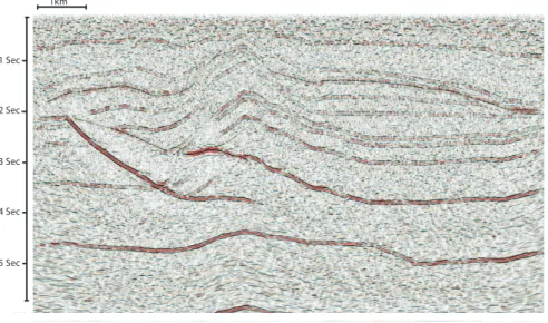 Figure 1. What do you think this is? The uninterpreted  synthetic seismic section used for this study