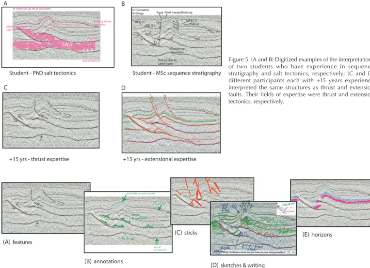 Figure 5. (A and B) Digitized examples of the interpretations  of two students who have experience in sequence  stratigraphy and salt tectonics, respectively; (C and D)  different participants each with +15 years experience  interpreted the same structures