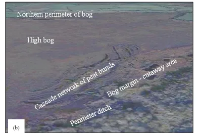 Fig. 4. Cascade network of peat bunds near south-eastern margin of Raheenmore raised bog, County Offaly, Ireland: (a) schematic diagram; (b) terrestrial image 