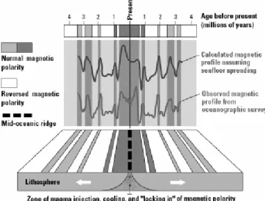 Figure 2.2  An observed magnetic profile matched by a calculated profile [Lindeberg, 2001]