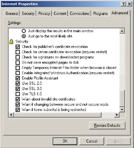 Illustration 1 The advanced browser security settings.
