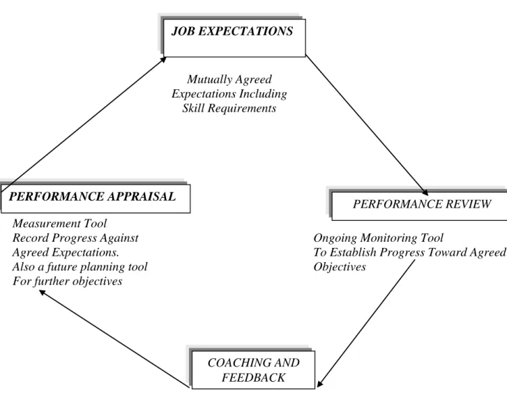 Fig. 3: THE PERFORMANCE MANAGEMENT CYCLE 