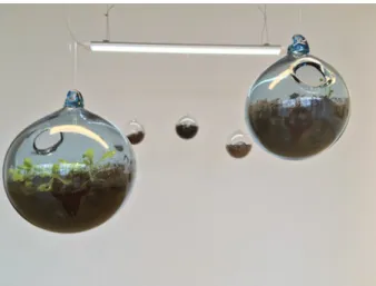 Figure 7: Glass pots.  