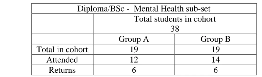 Table 4. Pilot questionnaire returns 