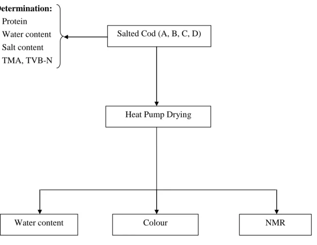 Figure 3: The flowchart of the experiments drying of salted cod using a heat pump dryer Determination: + Protein + Water content + Salt content + TMA, TVB-N 