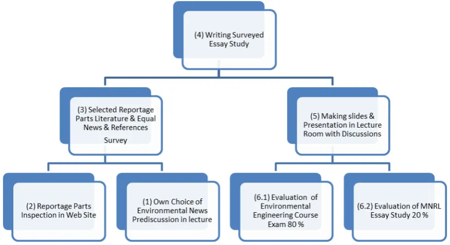 Figure 3. MNBEL phases and evaluation in environmental education hierarchy of the course