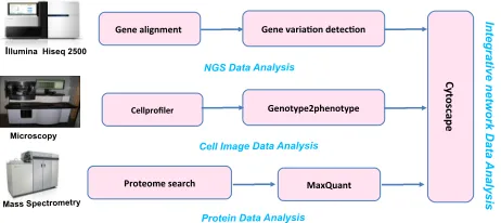 Figure 1.SCAN Data Flow Digram.