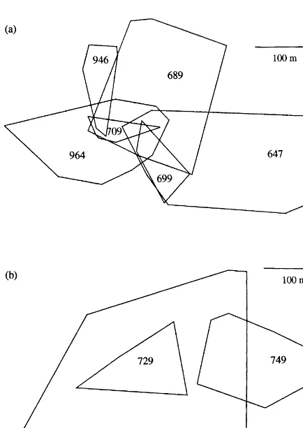 Fig 2. The polygons indicate the range sizes of six olive-winged bulbuls (a) and three cream-vented bulbuls (b) after ten daysof radio-tracking.
