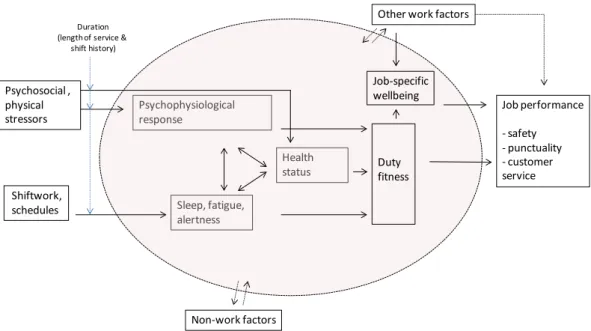 Figure 1. The Duty Fitness Model. A model of the effect of work stressors on health and safety  performance for the bus driver