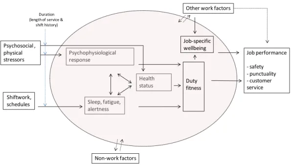 Figure 1. The Duty Fitness Model. A model of the effect of work stressors on health and safety performance  for the bus driver