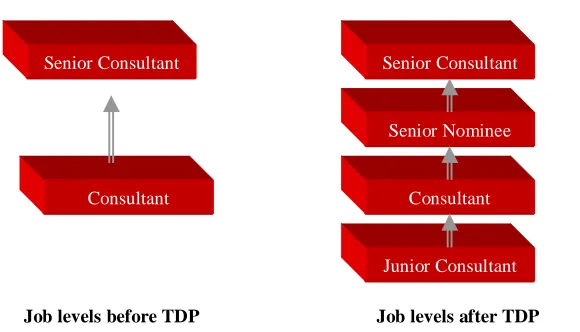 Figure 3.1 Changed job levels TDP  