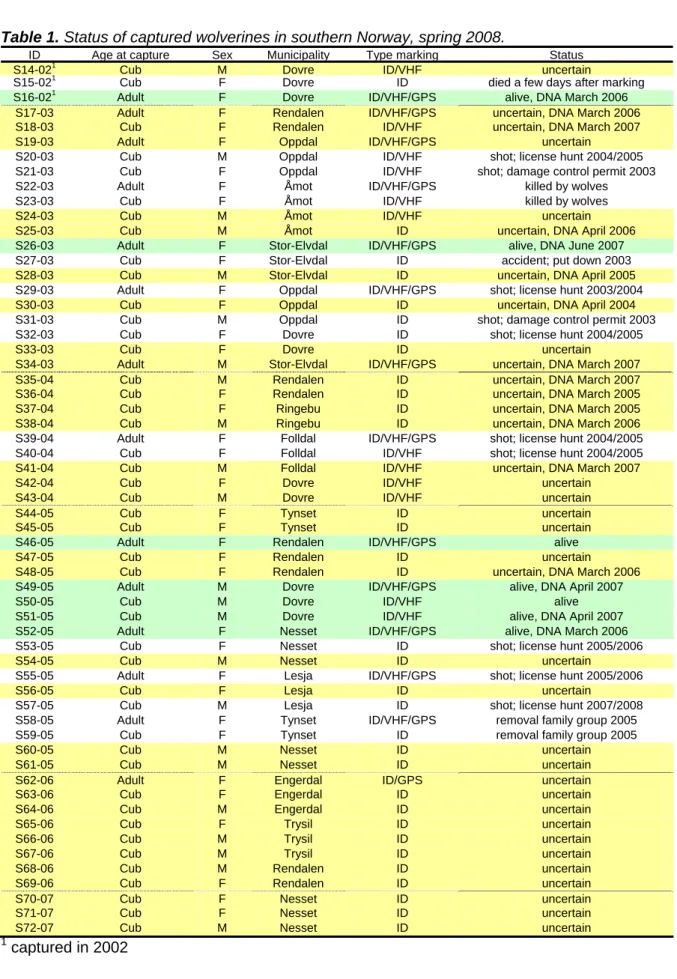 Table 1. Status of captured wolverines in southern Norway, spring 2008. 