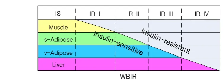 Fig 1. WBIR evolves in four distinctive stages as the tissue-specific IRs develop in sequence in the order 