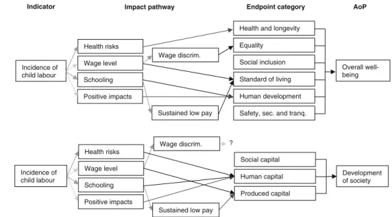 Fig. 1 The child labour impact pathway. The figure sums up the analyses from Section 3.2.1 to 3.2.4 and shows how a certain